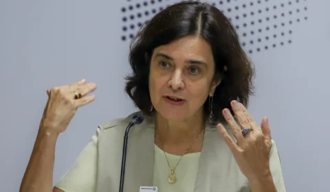 Nísia Trindade diz que dengue não é emergência nacional