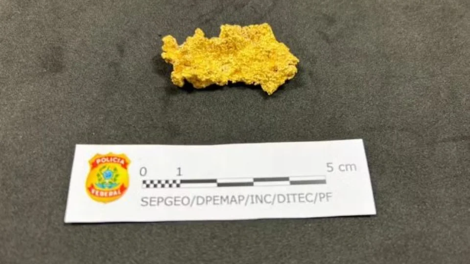 Ouro encontrado com Valdemar Costa Neto é de garimpo, diz a PF