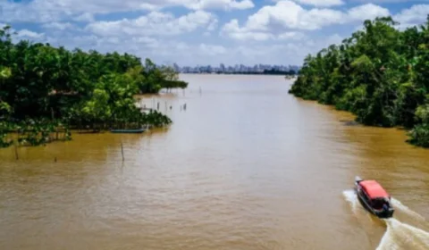 O que a seca do Amazonas está fazendo com o Rio Negro?