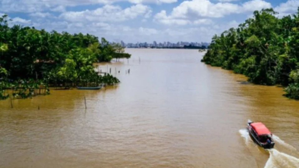 O que a seca do Amazonas está fazendo com o Rio Negro?