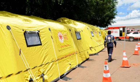 DF registra 120 mil casos de dengue em 2024