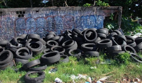 Dengue: GDF foca em diminuir o acúmulo de lixo para combater a doença