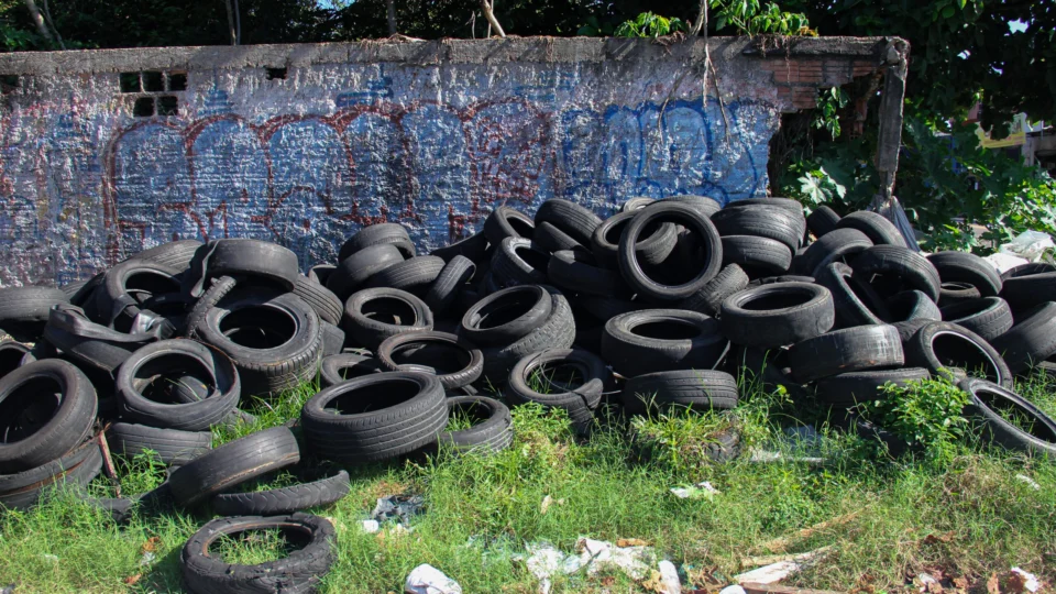 Dengue: GDF foca em diminuir o acúmulo de lixo para combater a doença