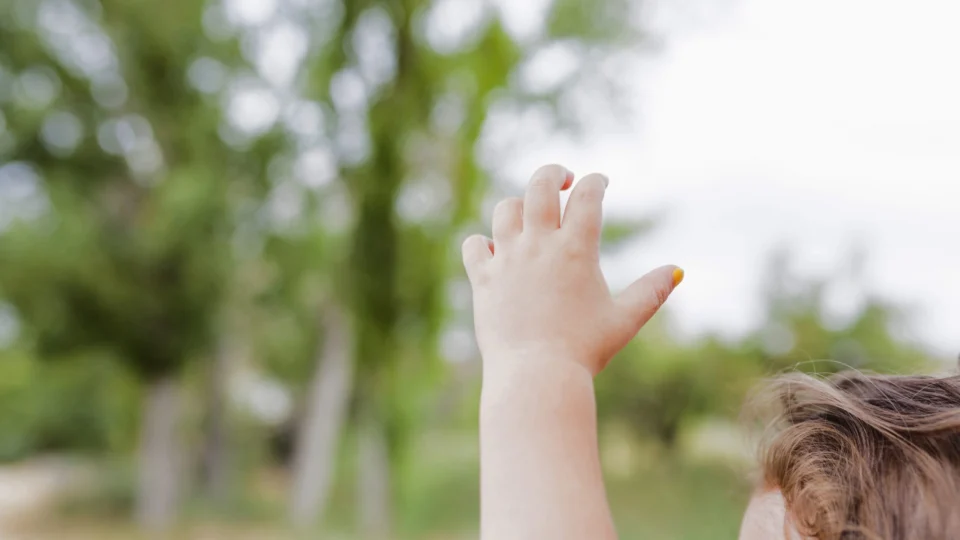 Menina de 3 anos assassinada em SC ‘morreu de tanto apanhar’