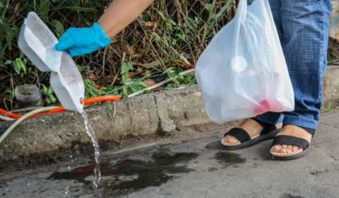 FVS-RCP orienta como vistoriar residências para evitar a dengue; confira