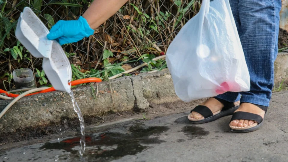 FVS-RCP orienta como vistoriar residências para evitar a dengue; confira