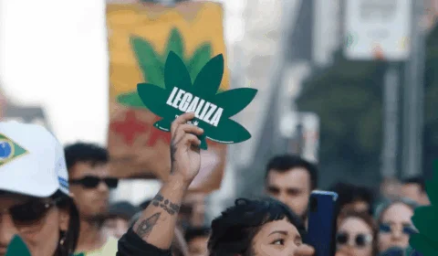 Senadores do Norte se posicionam sobre PEC das drogas; veja