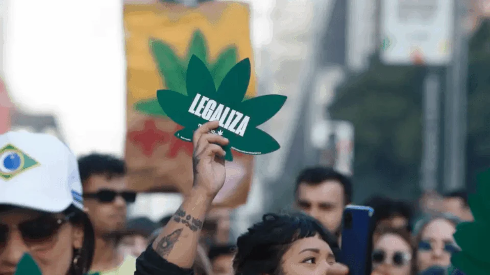 Senadores do Norte se posicionam sobre PEC das drogas; veja