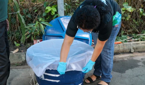 Dengue: veja como vistoriar residências para evitar a doença