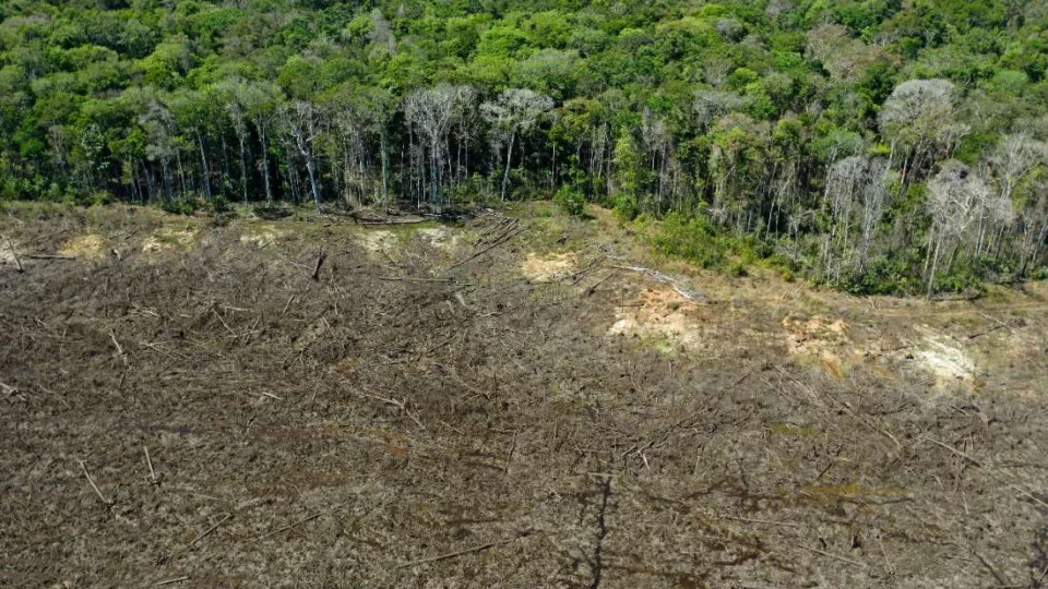 Amazônia tem maior queda de desmatamento dos últimos seis anos
