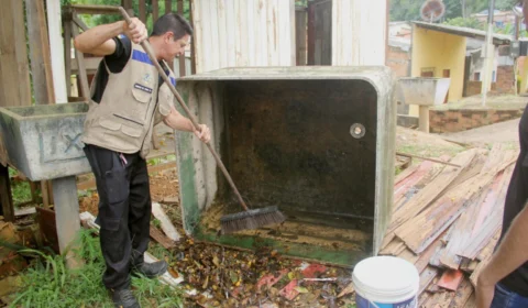 Dengue: em RO, dia D de combate à doença será no sábado (16)