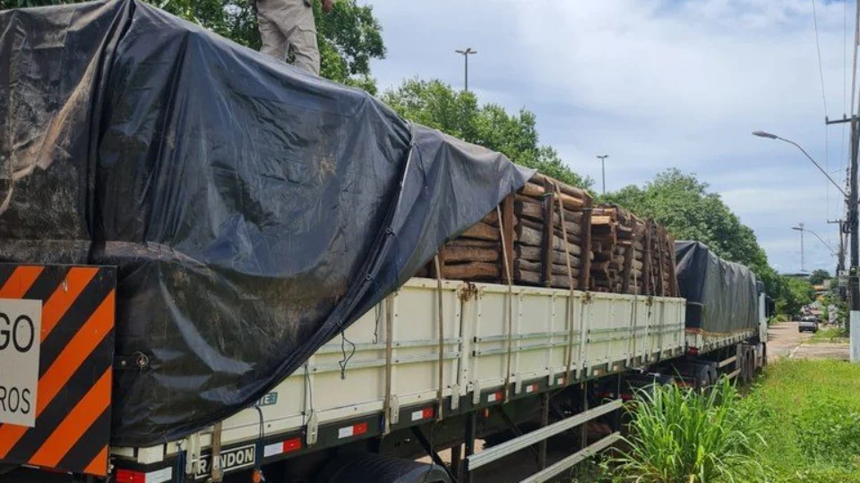 Carga de madeira ilegal é apreendida pela PRF, em Marabá (PA)