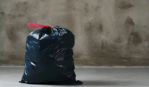 Corpo de brasileiro é encontrado mutilado em saco de lixo em Portugal