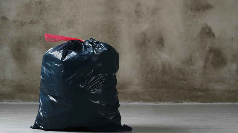 Corpo de brasileiro é encontrado mutilado em saco de lixo em Portugal