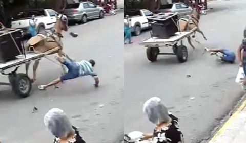 VÍDEO: Burro se assusta e homem é arremessado de carroça em alta velocidade