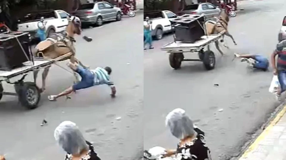 VÍDEO: Burro se assusta e homem é arremessado de carroça em alta velocidade