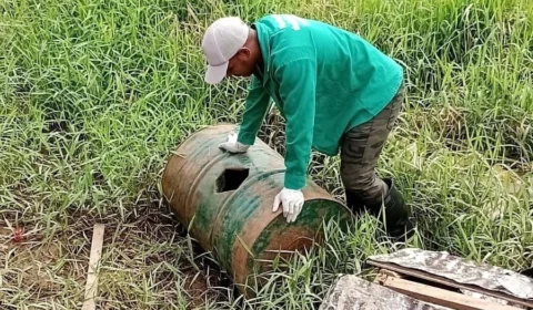 Amazonas tem mais de 2,8 mil casos de dengue, aponta FVS