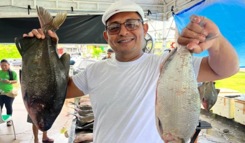 Feirão do Pescado: mais de 100 toneladas serão vendidos em Manaus
