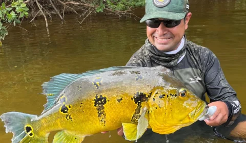 Antonio Denarium quer ampliar proibição da pesca de tucunaré em 4 rios até 2031