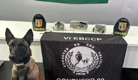 Base Arpão apreende drogas avaliadas em R$ 270 mil no AM