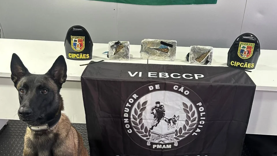 Base Arpão apreende drogas avaliadas em R$ 270 mil no AM