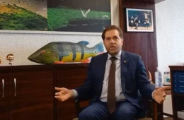 Norte Entrevista: Plínio Valério diz que ONGs influenciam IBGE a transformar pardos e mestiços em indígenas