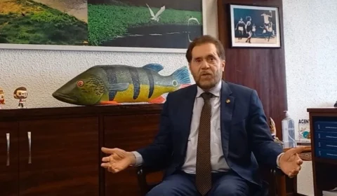 Norte Entrevista: Plínio Valério diz que ONGs influenciam IBGE a transformar pardos e mestiços em indígenas