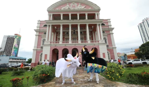 Festival de Parintins: ensaio dos bumbás começa em abril