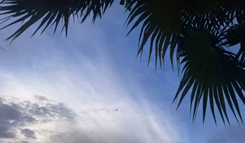 Previsão do tempo: confira o clima para esta sexta (22) em Manaus