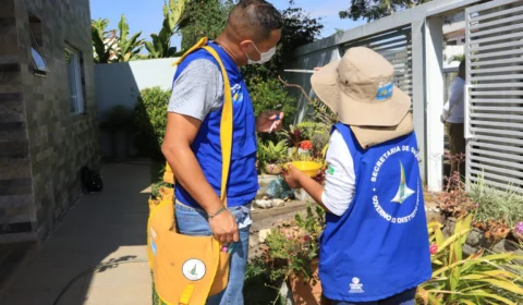 ACS atua no eixo de informação e prevenção a dengue no DF