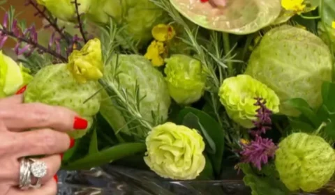 Ana Maria se diverte ao falar sobre planta com formato inusitado: “Saco de velho”