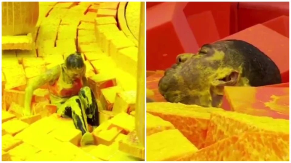 BBB 24: Beatriz é a nova líder! Sister teme ser ‘taxada’ de egoísta