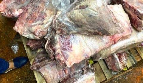 Carne estragada: quase 2 toneladas são encontradas em supermercado de Manaus
