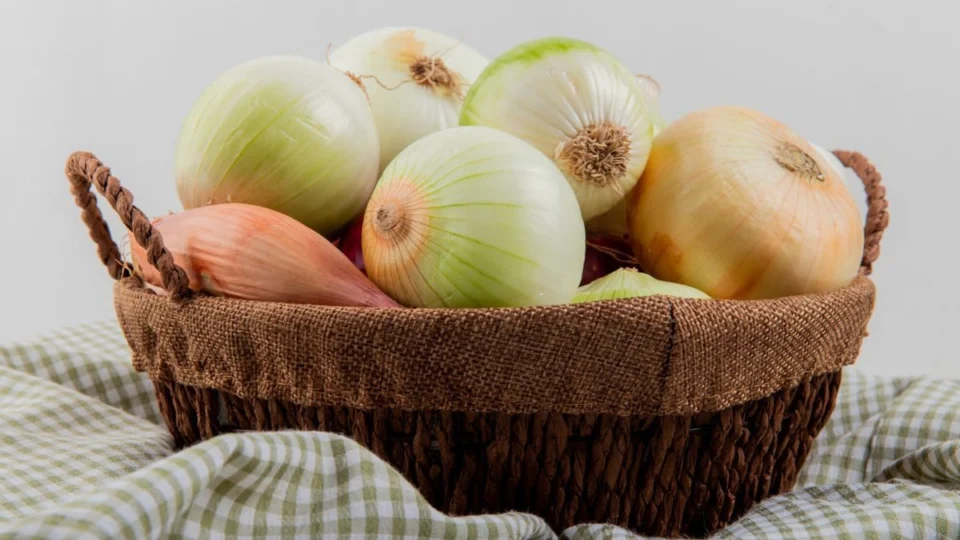 Cebola: quais os benefícios e como incluir na dieta?