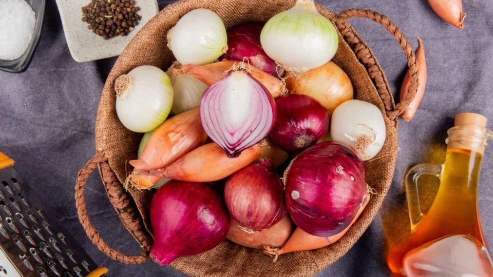 Cebola roxa pode prevenir doenças? Veja benefícios a saúde