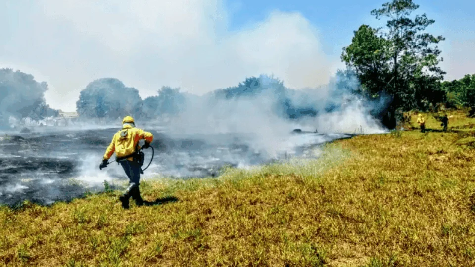 Cientistas na Câmara citam ‘colapso climático’ e cobram medidas