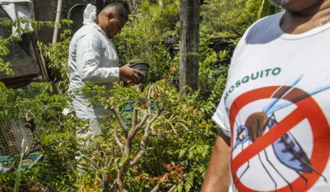 Casos de dengue em 2024 já superam os de todo o ano passado