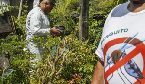 Brasil se aproxima de 2 milhões de casos de dengue