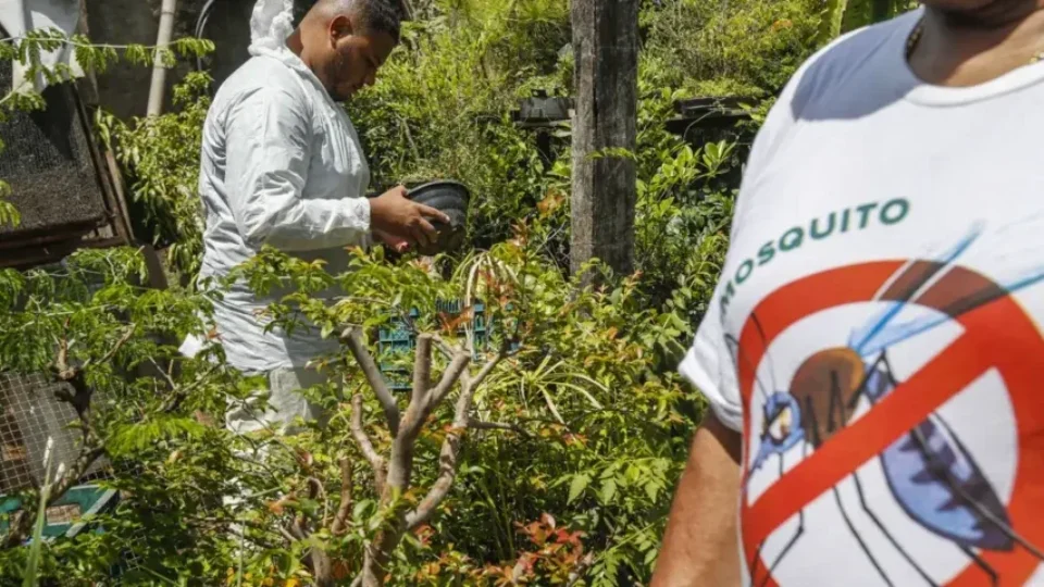 Brasil se aproxima de 2 milhões de casos de dengue