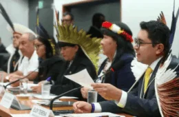 Câmara vai eleger presidente de Comissão da Amazônia nesta semana