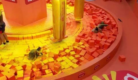 BBB 24: vídeo de Fernanda desistindo da Prova do Líder e derrubando Pitel viraliza