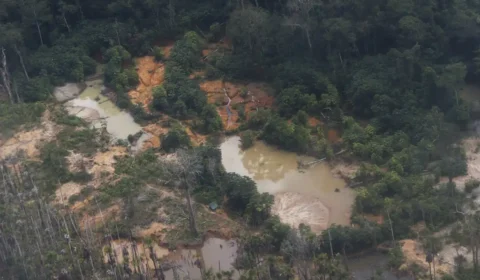 Comissão aprova projeto que aumenta controle do comércio de ouro