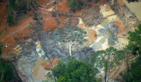 Força Nacional é acionada para retirar garimpeiros de Terra Yanomami