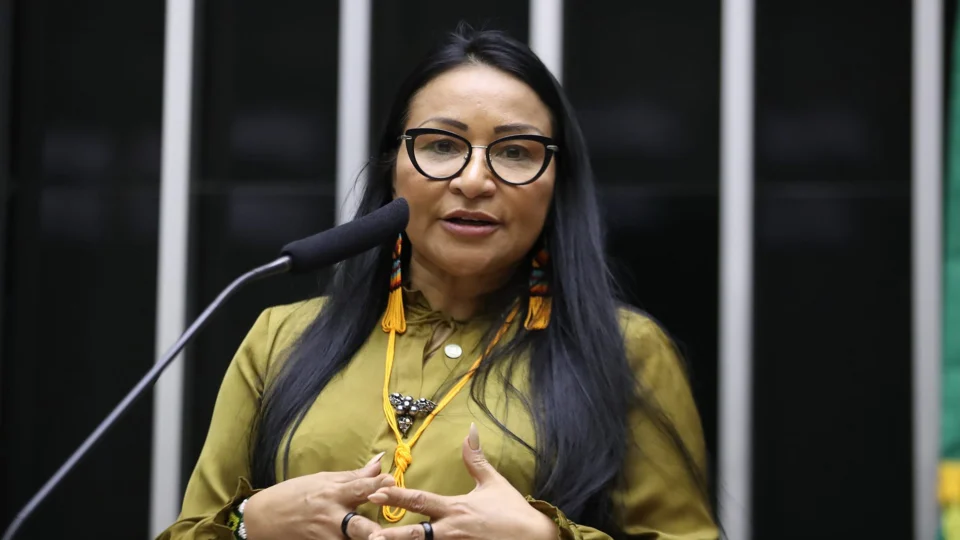 Silvia Waiãpi afirma que acordo entre Brasil e França pode afetar a economia