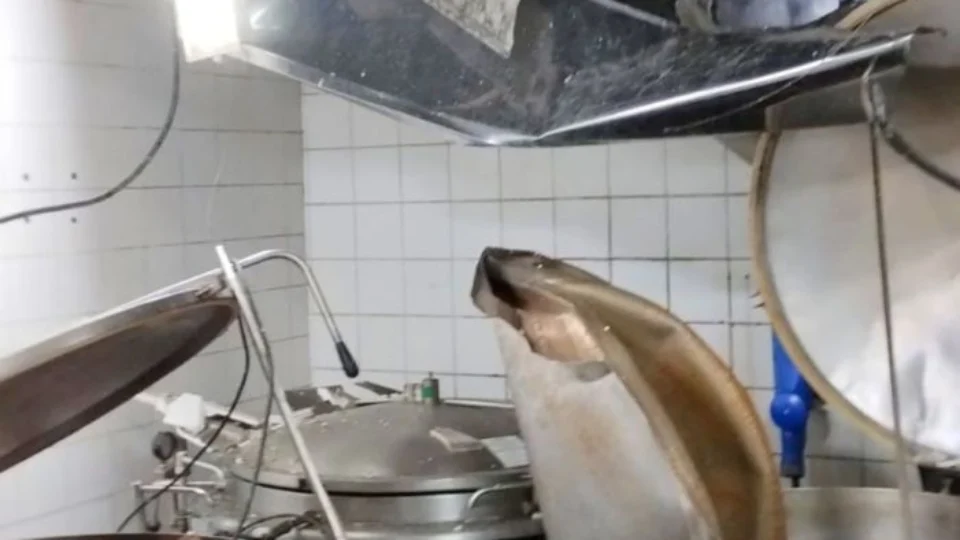 Panela de pressão explode e trabalhador é socorrido com queimaduras; confira