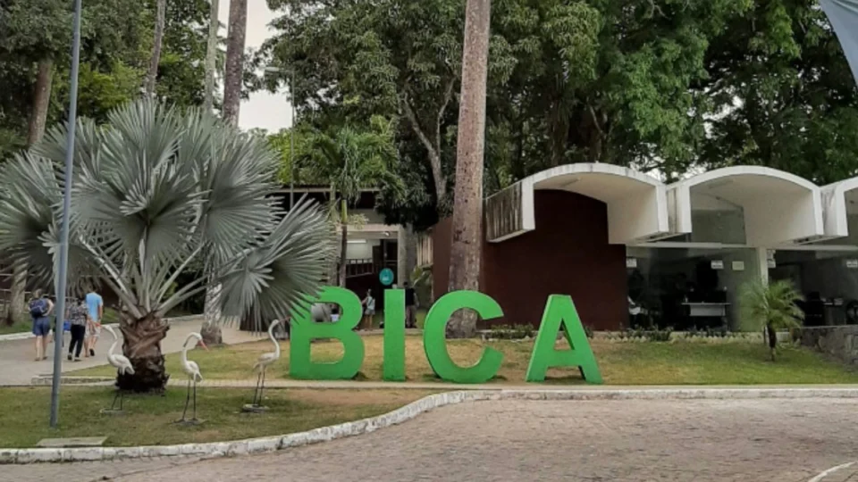 Bica: parque em João Pessoa vai abrir na Semana Santa? Veja programação