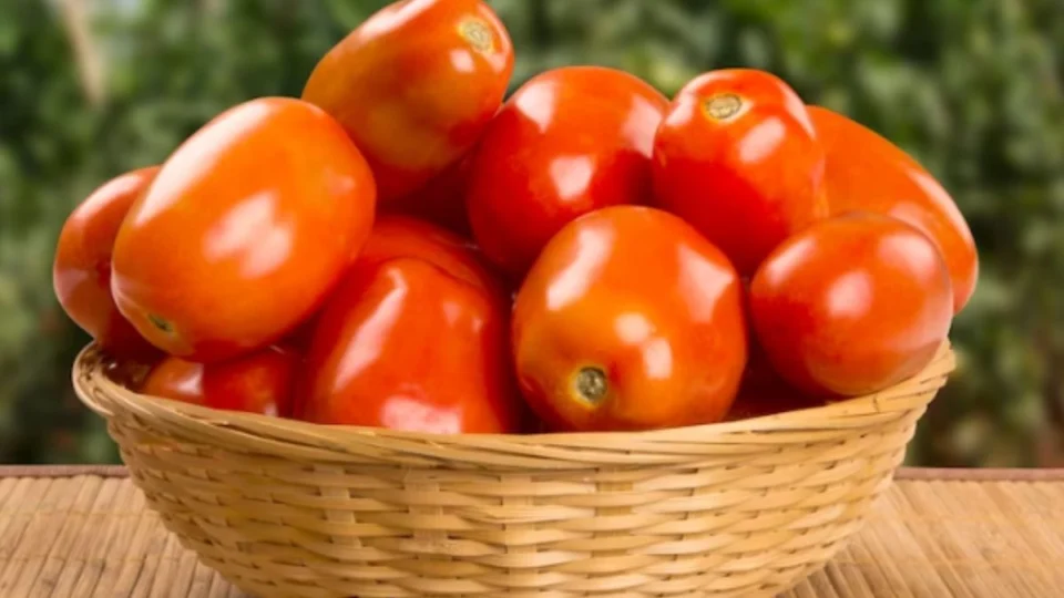 Tomate: quais são os benefícios da fruta para a saúde?
