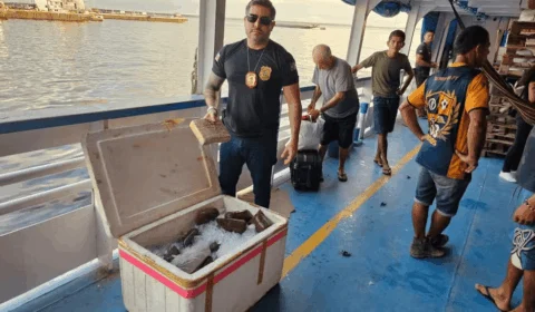 Drogas escondidas em caixa de isopor com açaí são apreendidas no AM