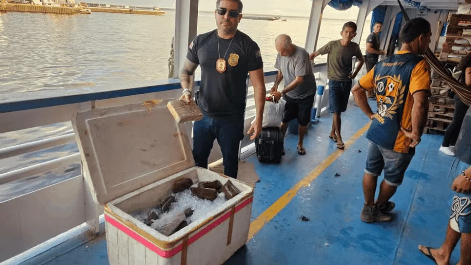 Drogas escondidas em caixa de isopor com açaí são apreendidas no AM