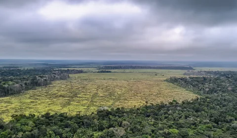 STF julga omissão do Congresso sobre preservação da Amazônia